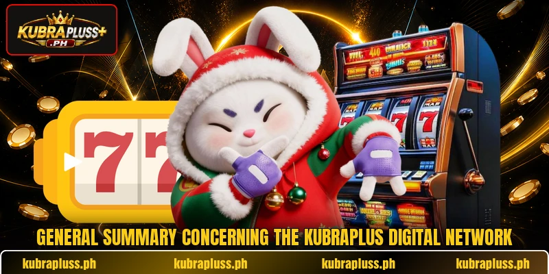 General summary concerning the KUBRAPLUS digital network