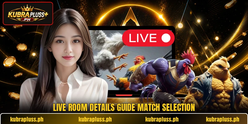 Live room details guide match selection Live room details guide match selection
