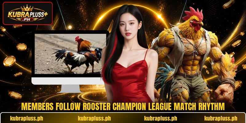 Members follow rooster champion league match rhythm Members follow rooster champion league match rhythm
