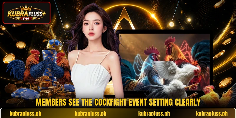 Members see the cockfight event setting clearly Members see the cockfight event setting clearly